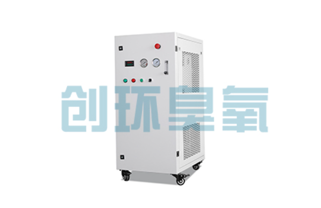 湖州比传统换水更高效?臭氧发生器在石斑鱼养殖中的水质净化原理解析